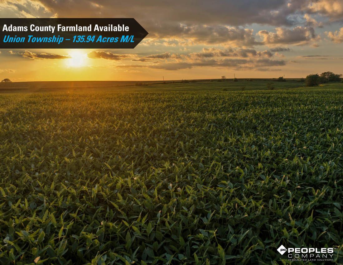 Listing Photo: Adams-County-Iowa-Farmland-Available-136-Acres-Blazek-Estate-19707 (27)